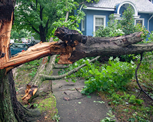 Protect your home from high winds